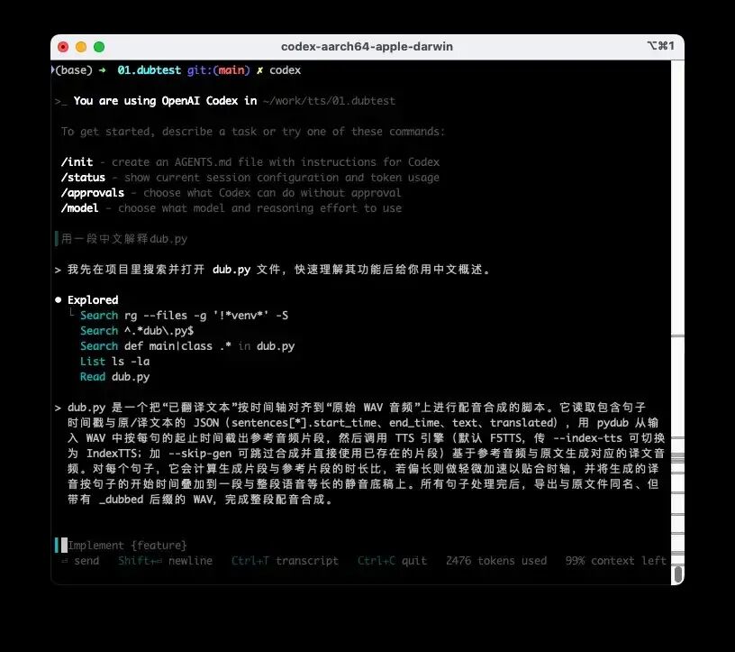 Codex CLI实际工作场景图