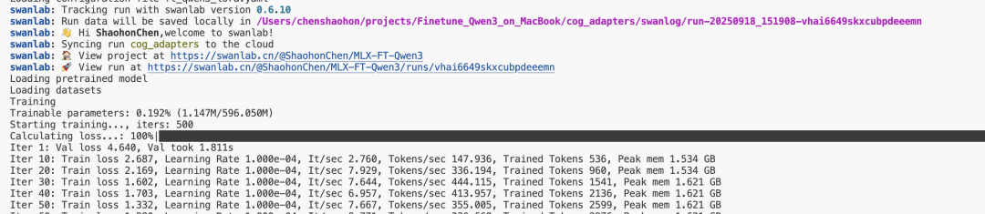 MLX-LM微调启动界面截图