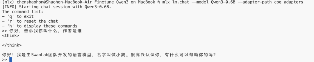 模型中文聊天效果图