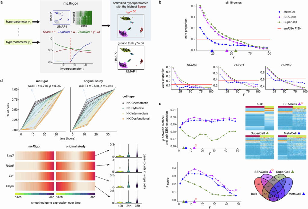 图3:mcRigor 优化各种单细胞数据分析的元细胞方法和超参数选择。a,mcRigor 优化元细胞划分方法的示意图,使用 Score 作为优化标准来平衡 DubRate 和 ZeroRate,以半合成数据上 MetaCell 划分的优化为例。b,折线图显示了 MetaCell、SEACells 和 SuperCell 三种方法在不同粒度级别(y)下生成的元细胞划分中零比例。优化的元细胞划分(三角形)与 smRNA FISH 数据(红线)中观察到的零比例非常吻合。c,mcRigor 优化了差异基因表达分析的元细胞方法和超参数选择。在 (b) 和 (c) 中,彩色三角形表示 mcRigor 为三种方法选择的最佳 y 值。d,与 Zman-seq 研究的原始元细胞划分相比,mcRigor 优化的元细胞划分更好地揭示了免疫细胞的时间轨迹。