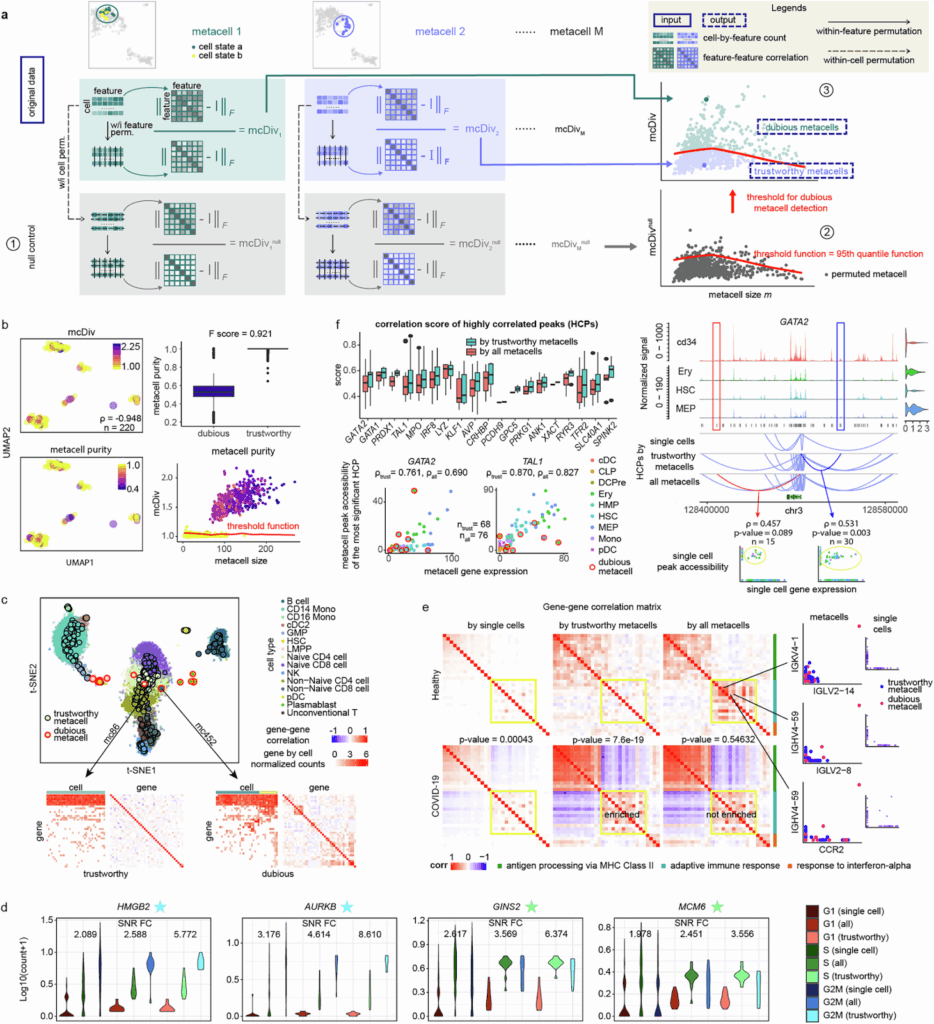 图2:mcRigor 检测可疑元细胞并纠正 scRNA-seq 和多组学数据下游分析。a,mcRigor 可疑元细胞检测方法示意图。b,mcRigor 在半合成数据上有效评估 MetaCell 方法划分的元细胞异质性并检测可疑元细胞。c,mcRigor 识别的可疑元细胞表现出内部异质性,可能偶尔出现异常值,而可信元细胞保持内部同质。d,mcRigor 增强了细胞系中细胞周期标记基因的表达。e,mcRigor 揭示了 COVID-19 样本(底部一行)中适应性免疫反应基因模块(黄色突出显示)的共表达比健康对照(顶部一行)更丰富。f,将 mcRigor 应用于 SEACells 论文的原始元细胞划分,增强了基因调控推断(左)并产生了可靠的发现(右)。