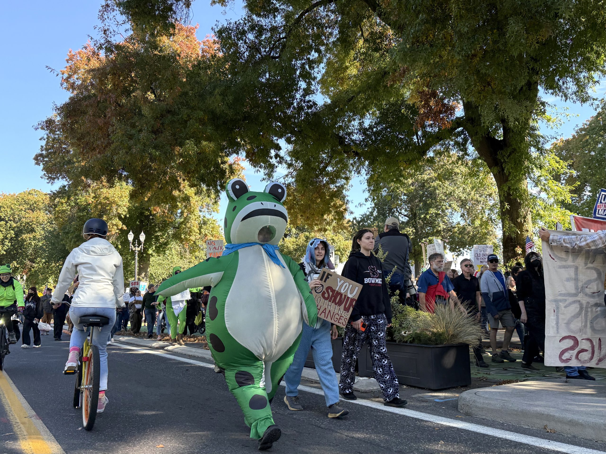 青蛙主题示威游行