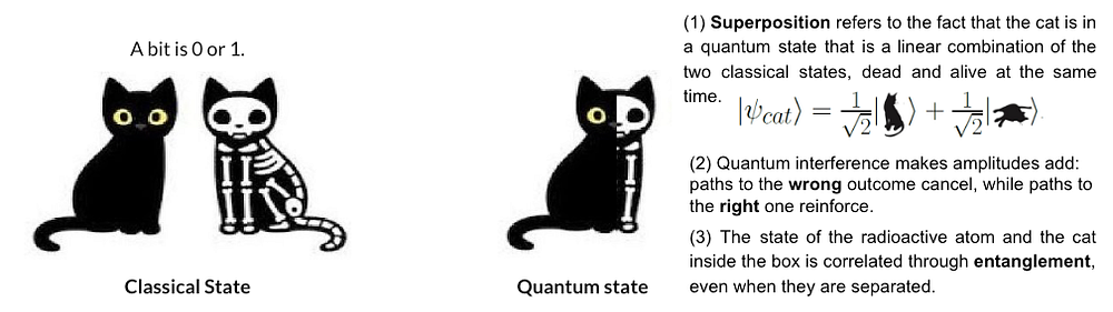 薛定谔的猫类比，展示经典态与量子态的区别。