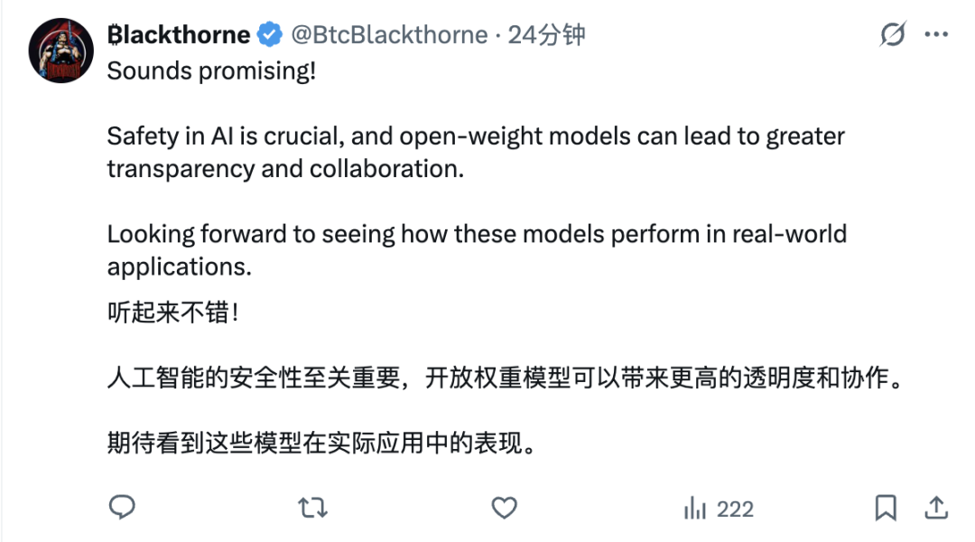 OpenAI 提供的gpt-oss-safeguard 开发文档示例