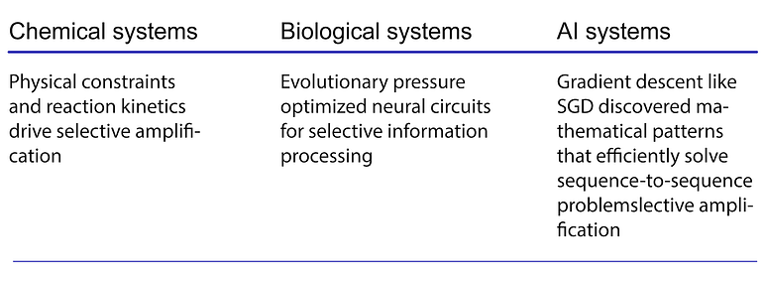 图4:选择性放大与归一化相结合的数学结构在这些不同领域中均有体现,但其潜在机制和约束条件却大相径庭。