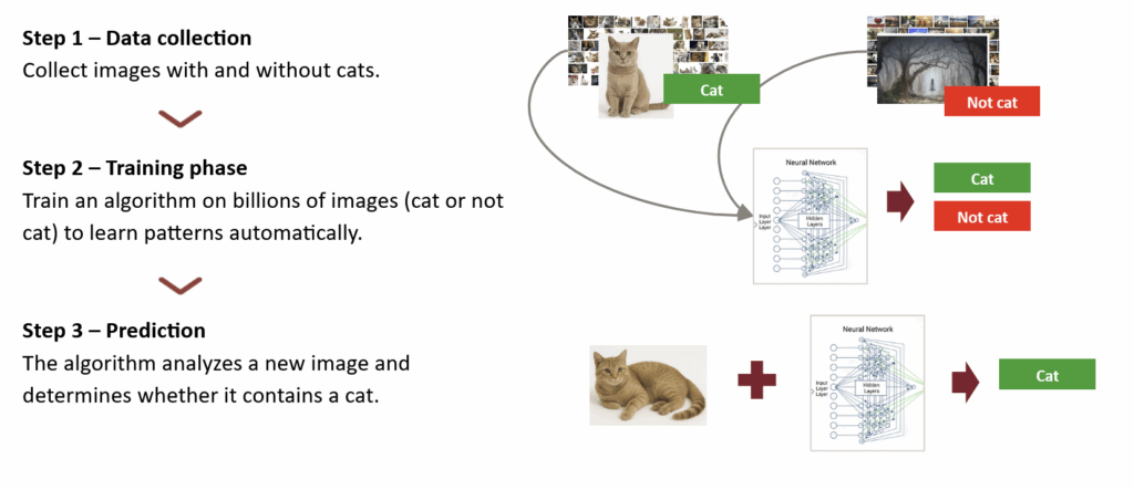 图像2:通过机器学习方法检测图像中的猫(作者绘制,猫咪由AI生成)