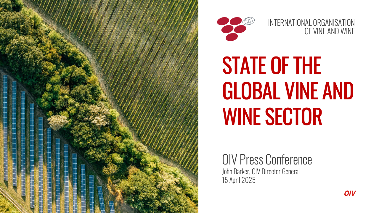 全球葡萄园分布图