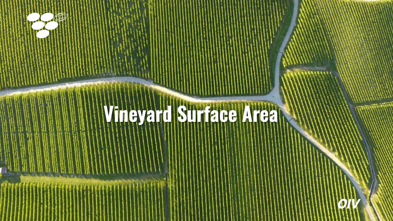 国际贸易数据可视化