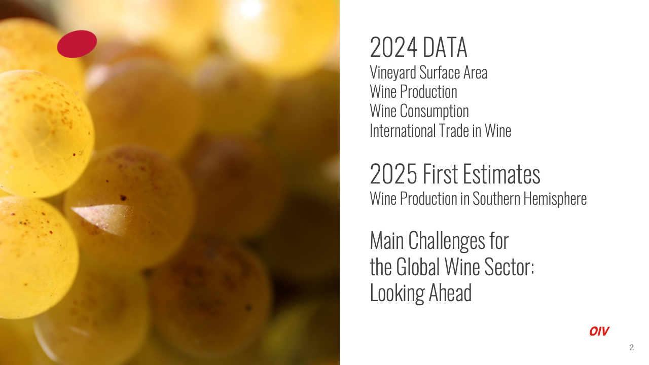 葡萄酒产量趋势图