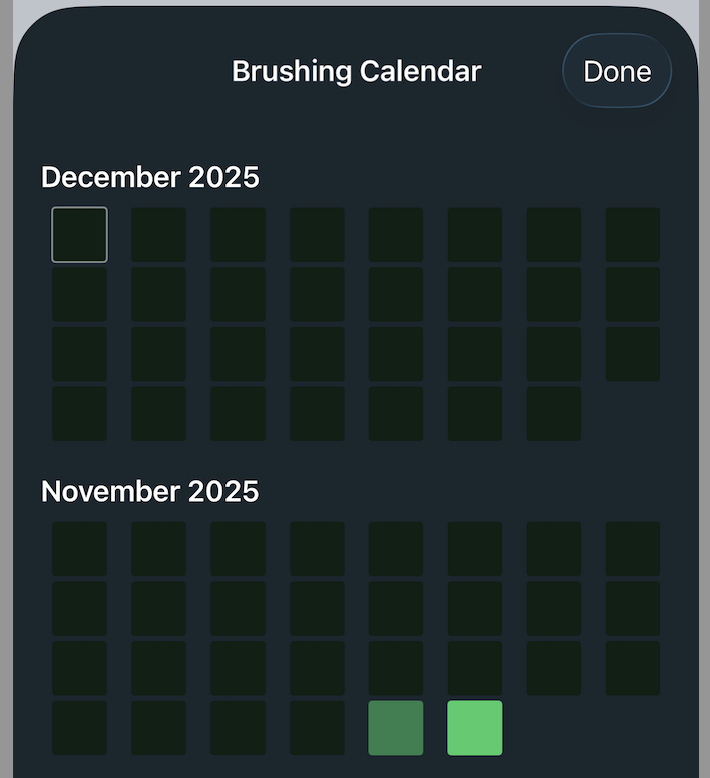最终优化后的网格效果